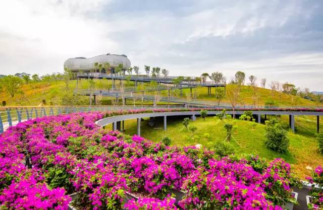 深圳北站中心公园现状,深圳北站旅游公园