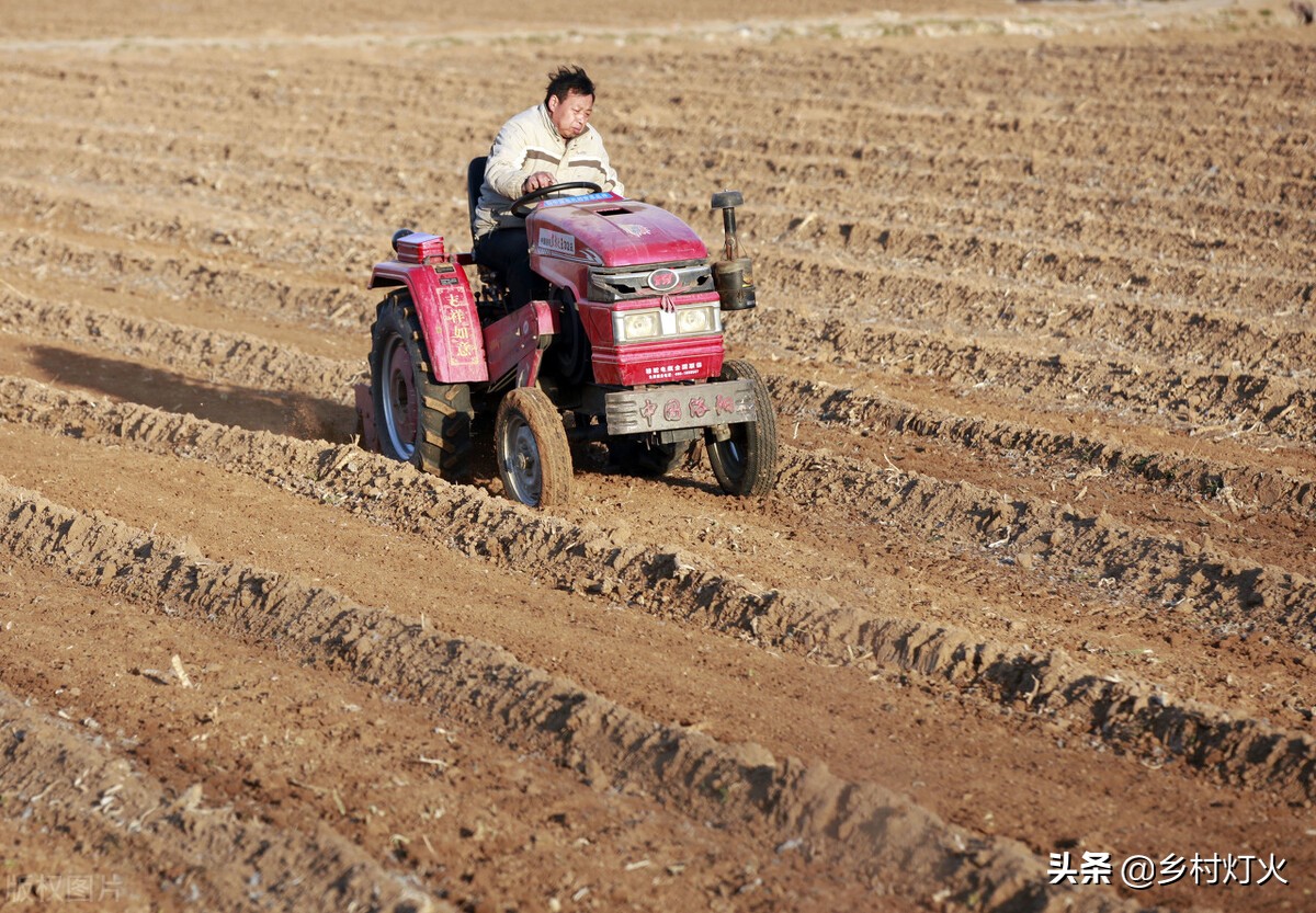 土壤杀菌消毒用生石灰还是熟石灰,花盆土壤消毒杀菌的最好方法
