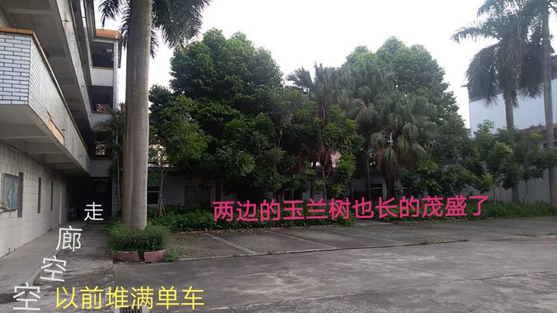 东莞市广利建筑工程有限公司,东莞广利纸品厂