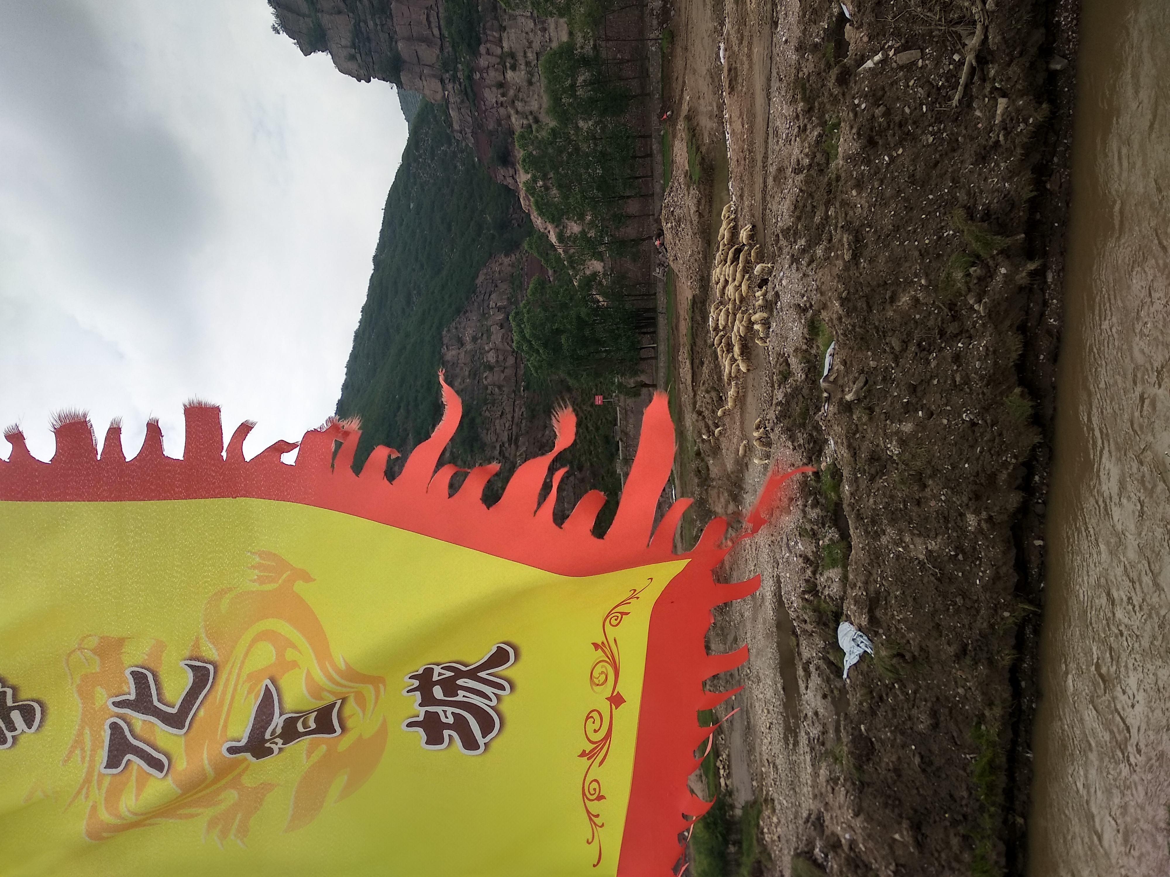 寻古探今,寻古觅今的视频