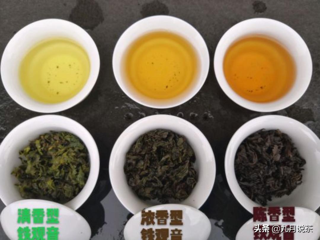 今日说茶的故事,今日说茶全部视频