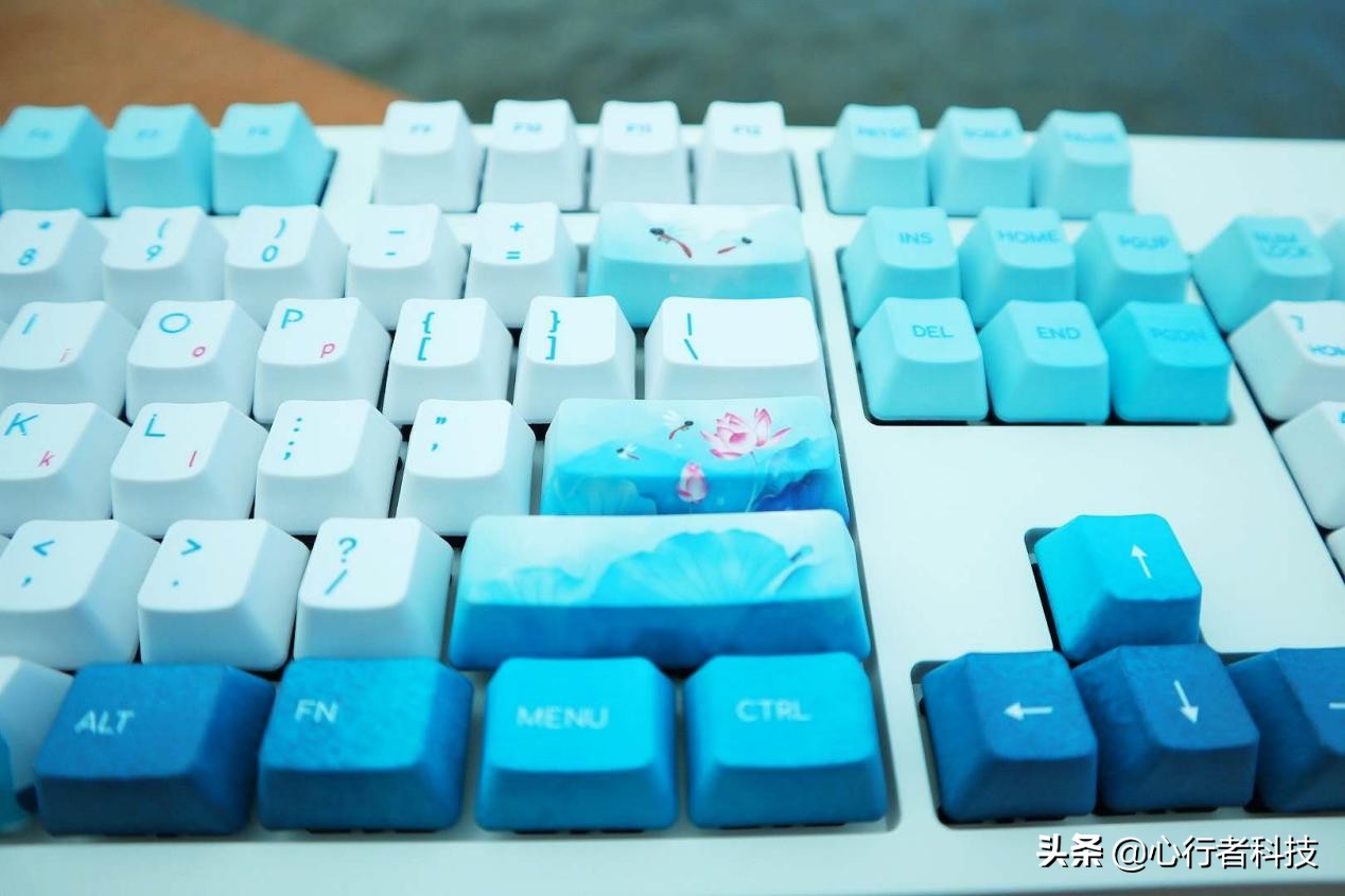 蜻蜓点水立指尖——黑爵蜻蜓键茶轴体验