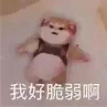 表情包你能亲亲我嘛,表情包你能拿我怎么办