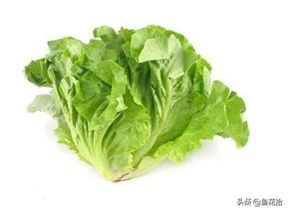 无土栽培常用基质有哪些,无土栽培基质用什么好