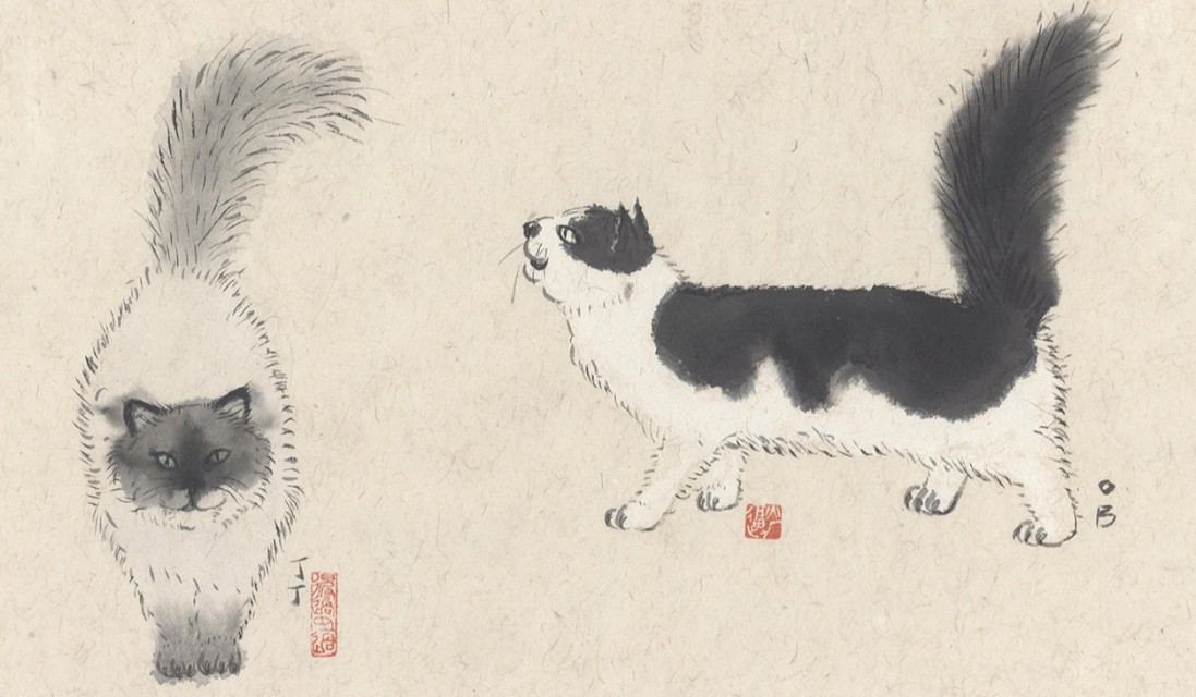 他画的猫，内心戏十足，还是个段子手，着实有趣