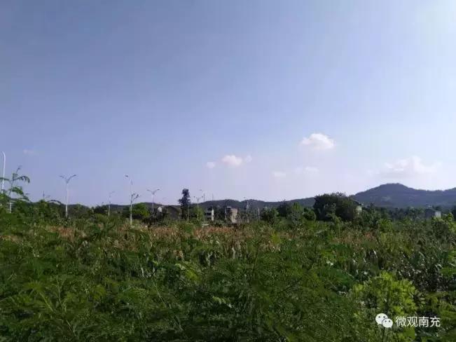 南充：13日上午三宗土地成功出让，成交价最高443万/亩