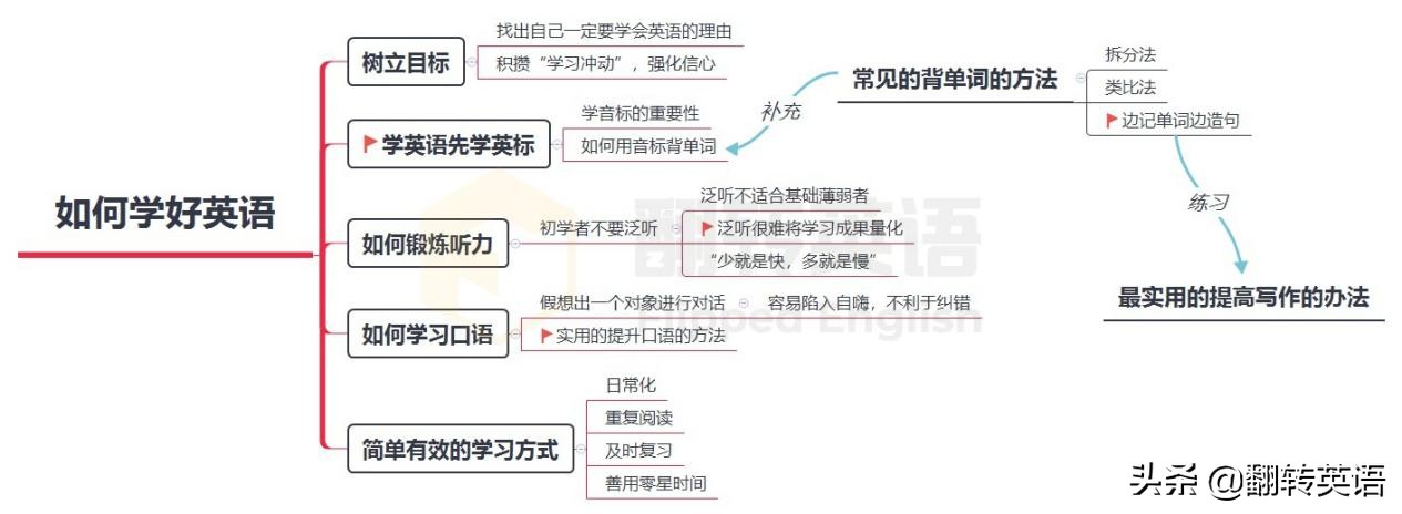 成人小白学英语先学什么,成人小白学英语