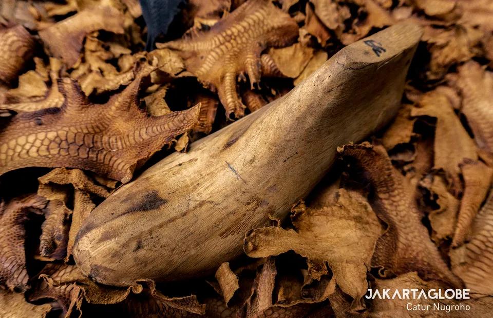 不一样的爱马仕,高端皮鞋品牌鳄鱼皮