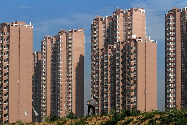 越来越多人养宠物原因,为何越来越多的人养宠物