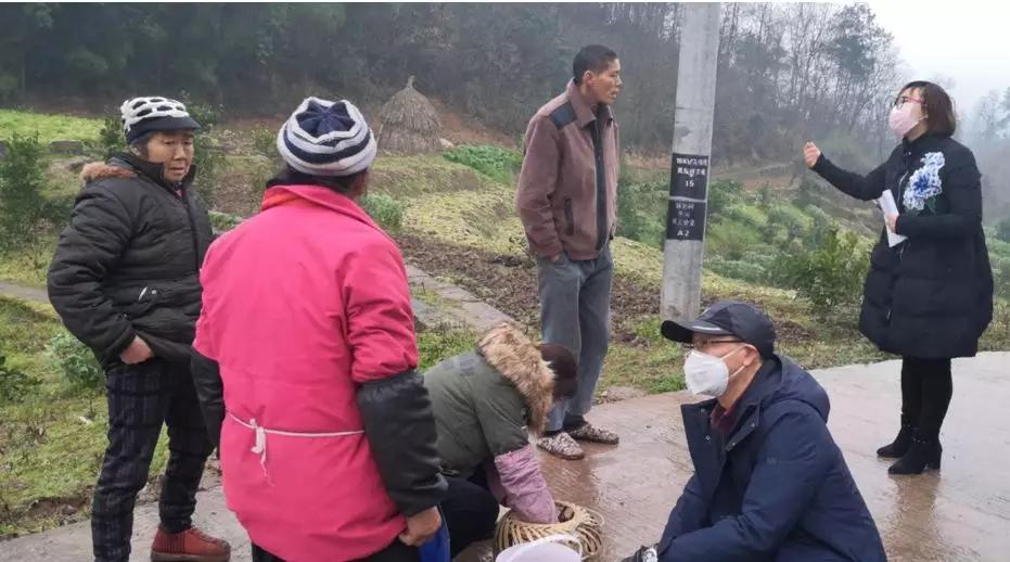 战疫情助农推广,战疫助农产品