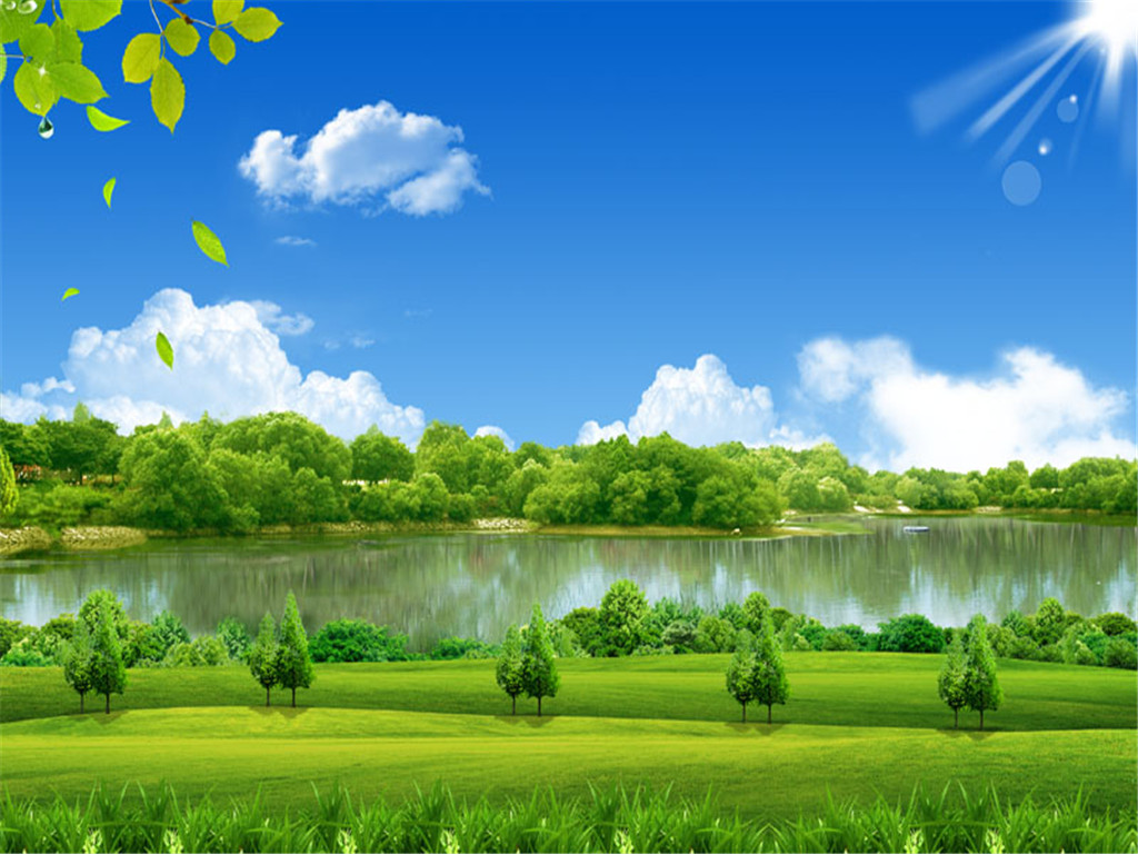 最美的护眼桌面壁纸,超清晰2340x1080曲面屏护眼壁纸