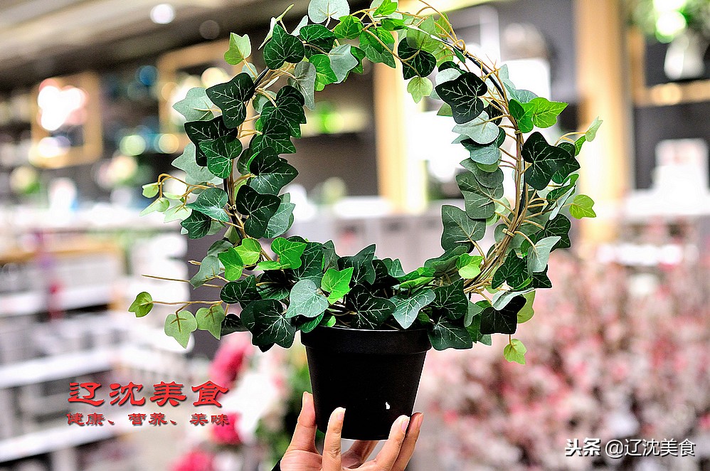 新年逛沈阳,新年厨房焕新计划