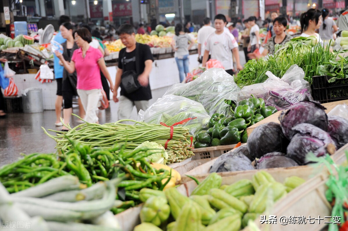 蔬菜配送公司需要哪些条件,蔬菜配送生意经营模式