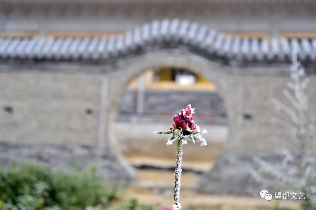 雪后美景银装素裹,雪后银装素裹似仙境