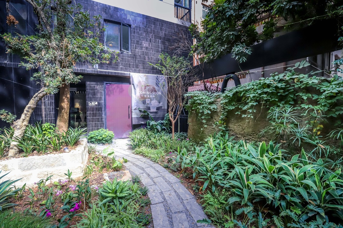 周末城市微度假目的地,深圳南头古城藏匿在闹市之间