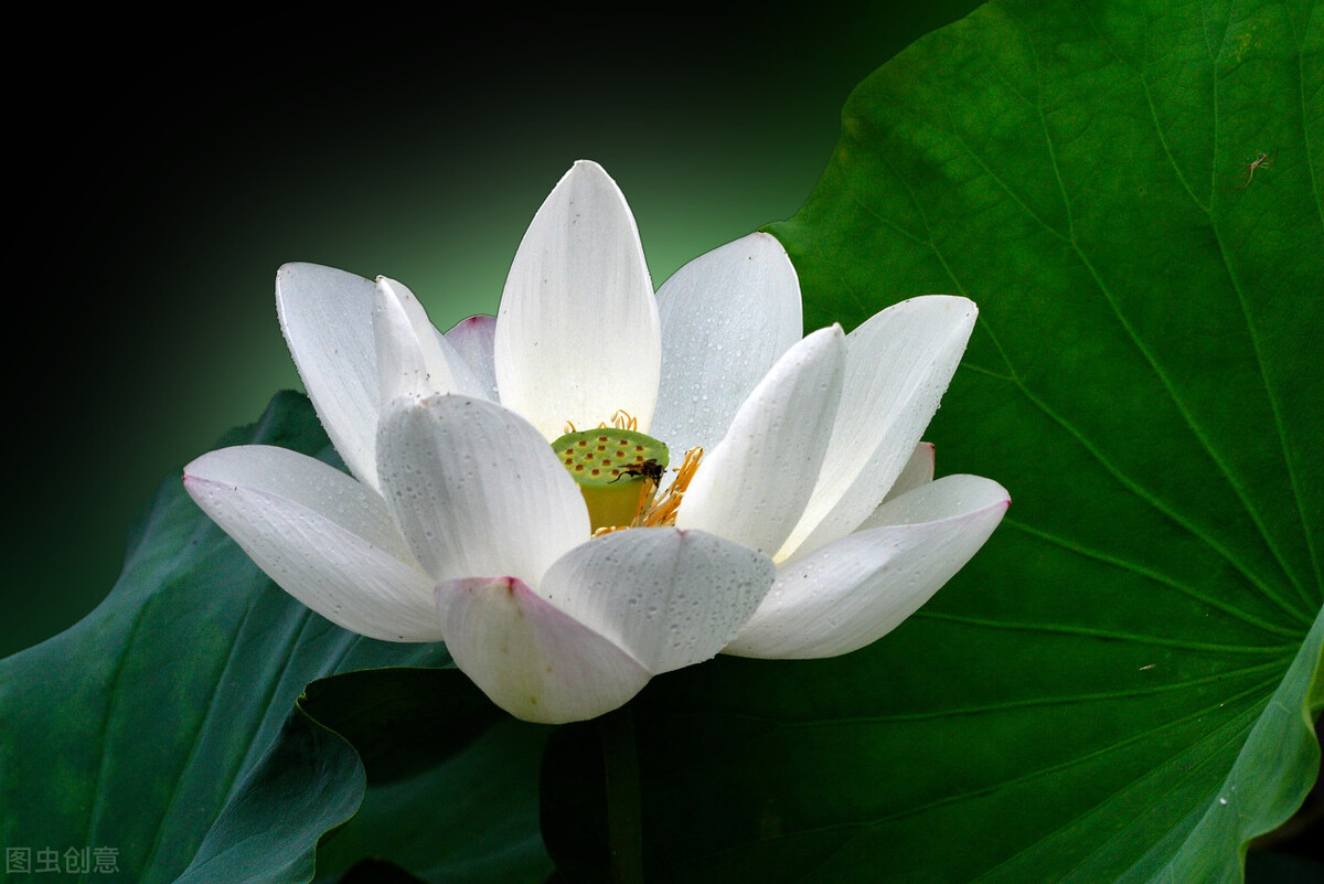 伤害最深的人往往是自己最亲的人,最亲的人让我心寒了怎么办