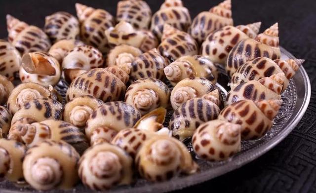 史上最全海鲜视频,史上最全海鲜贝类大全