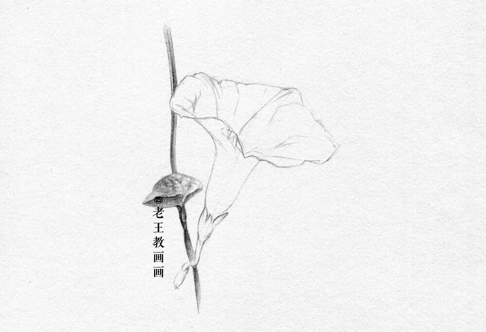 素描小白都在画什么,新手小白画素描人物