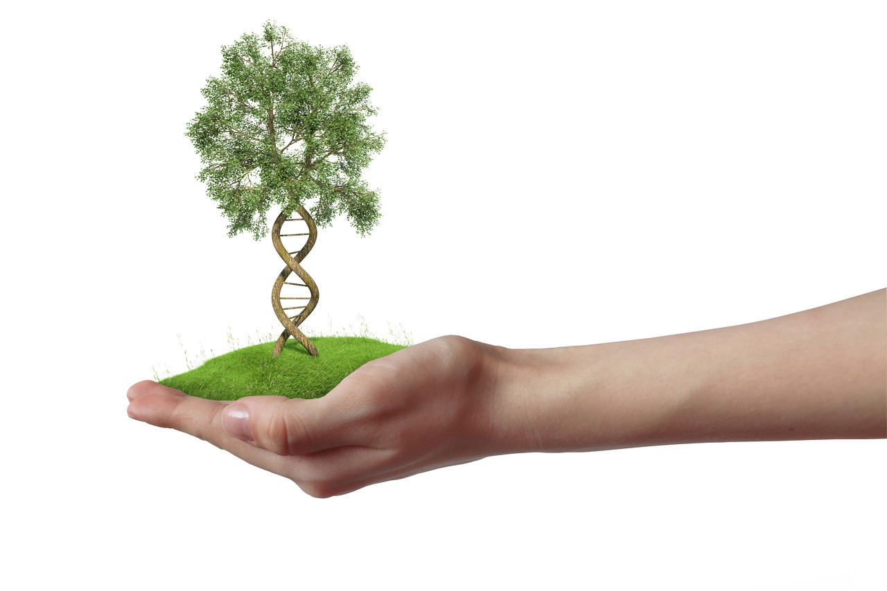 药学博士十大骗局,医学博士生护肤圈最大谎言