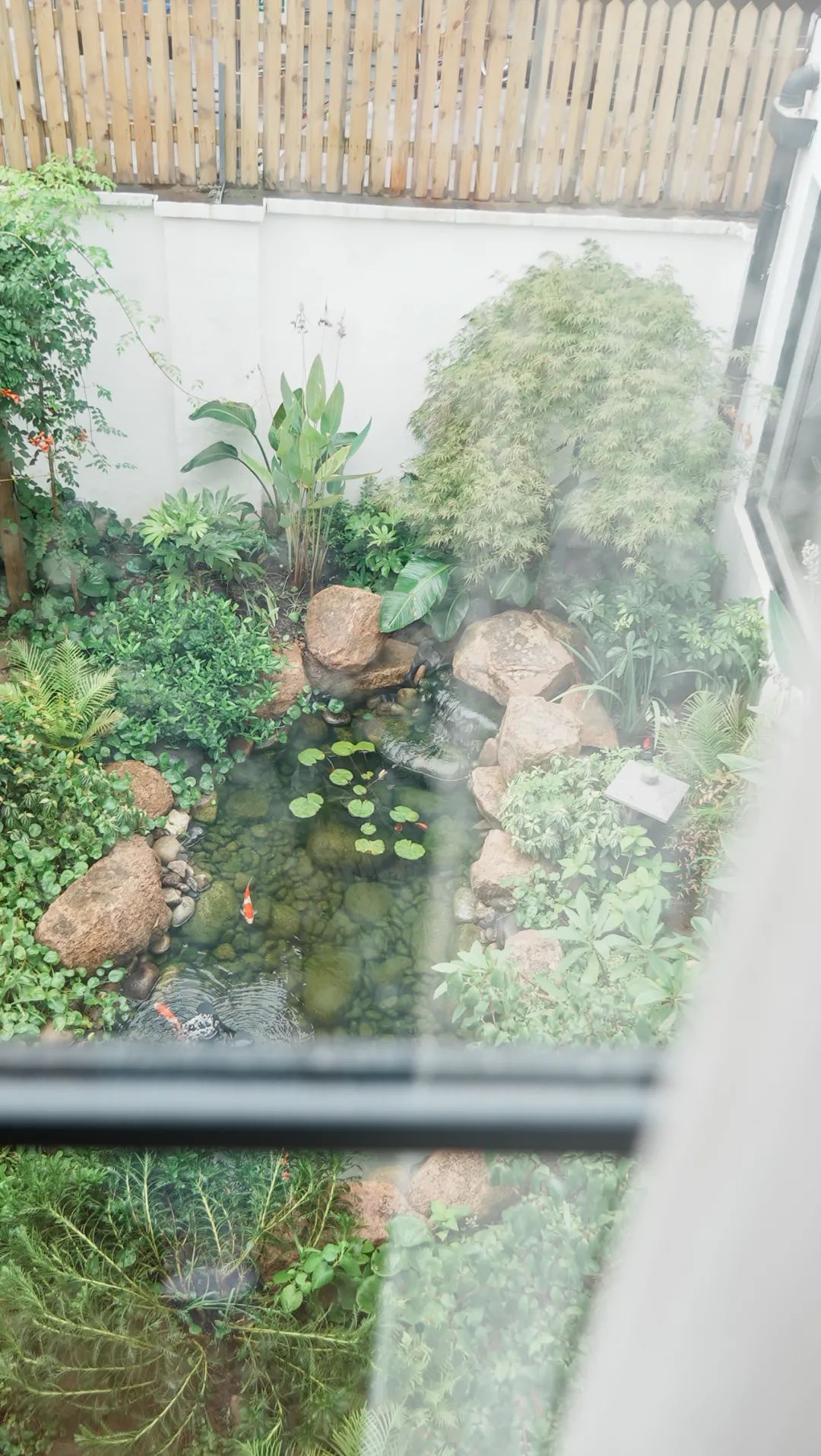 住在上海闹市400平的房子里，花开不败，开窗见池塘，太羡慕了