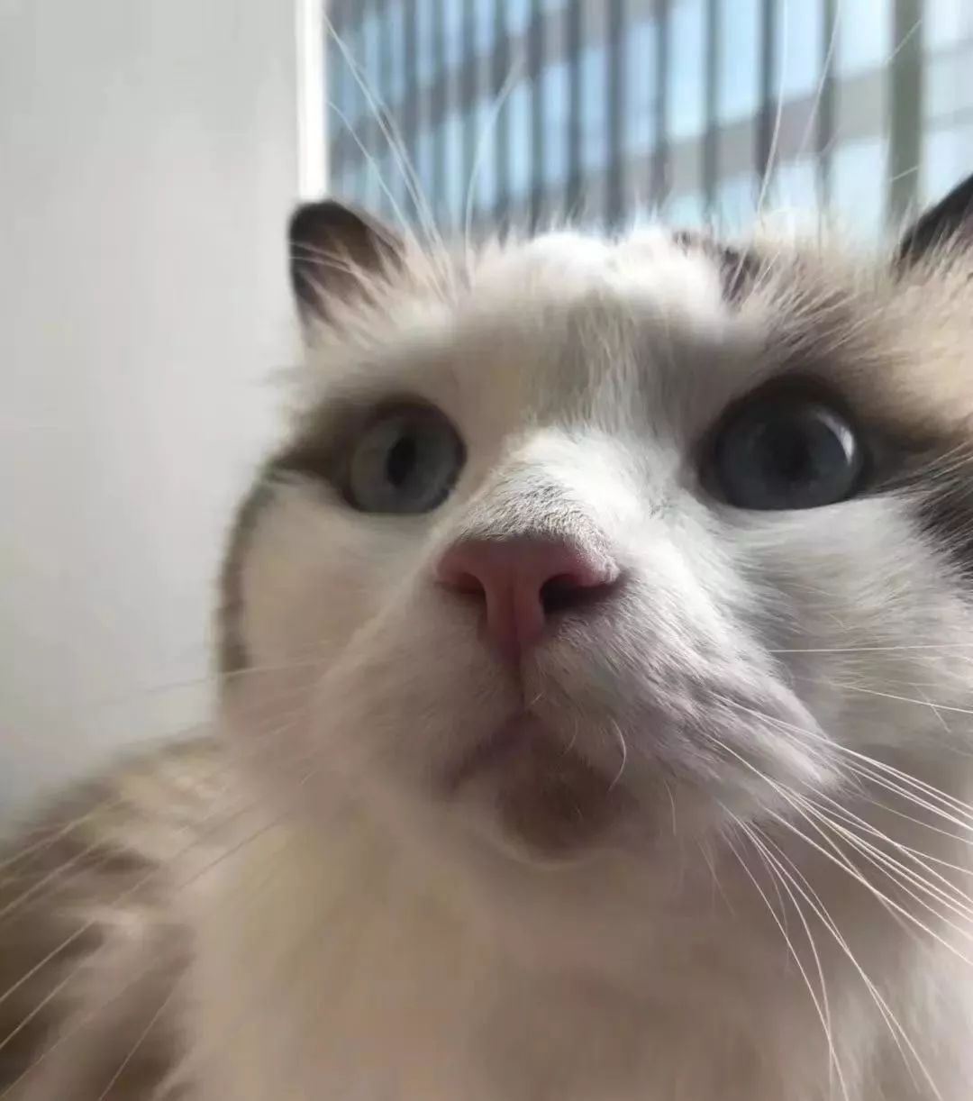 在哔哩哔哩上班的条件,在哔哩哔哩工作