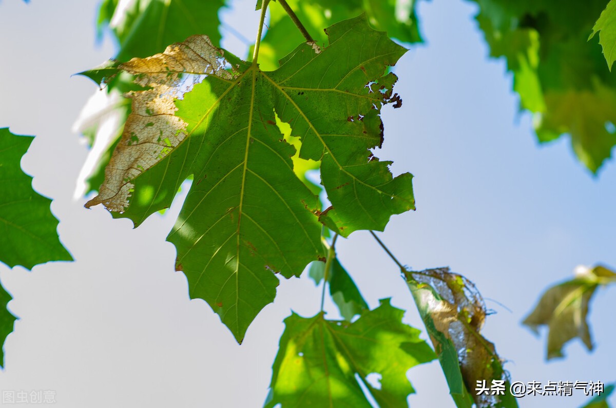 水刚漏了怎么补救,水漏了用什么补好