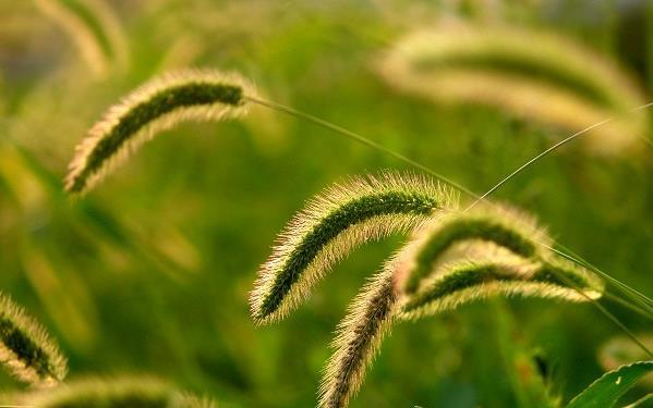 人生落魄时，要学会调整心态