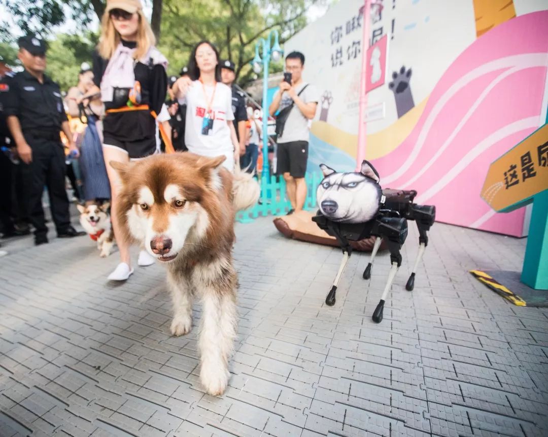 为什么杭州最具幸福感,杭州为什么是个幸福的城市