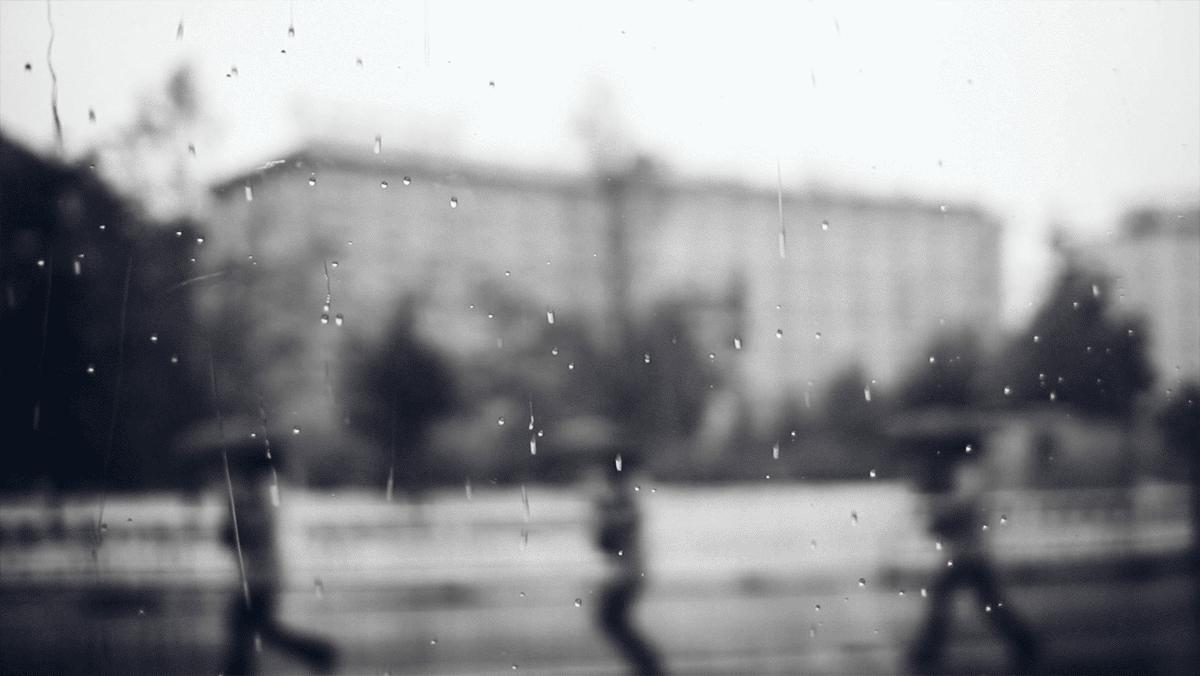 fallingafinerain难道是下了一场好雨？