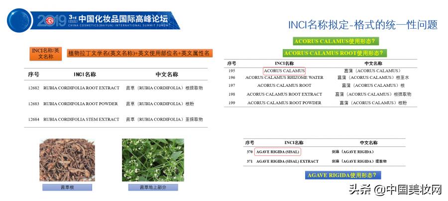 2019iPDM展|王有为:化妆品植物类原料命名的科学性与规范性