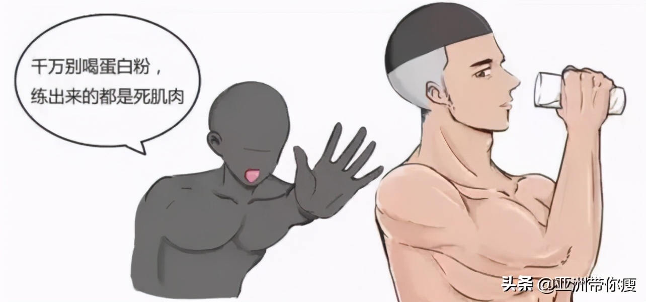 健身蛋白粉推荐,健身补剂入门