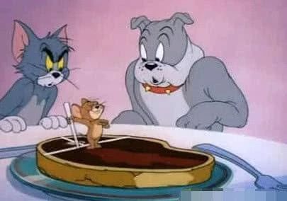 猫咪能吃哪些维生素,猫咪能吃太多营养补充剂吗