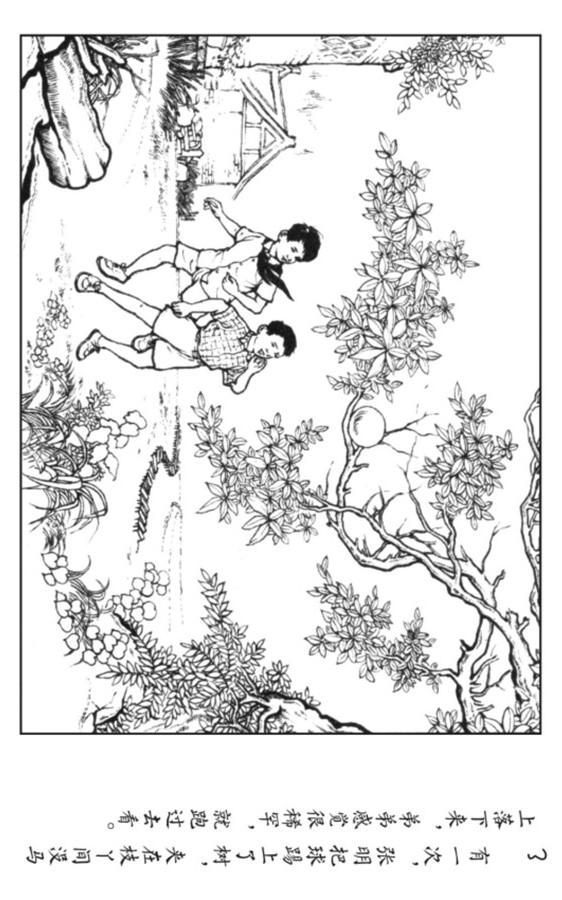 足球连环画,pp连环画水浒后传