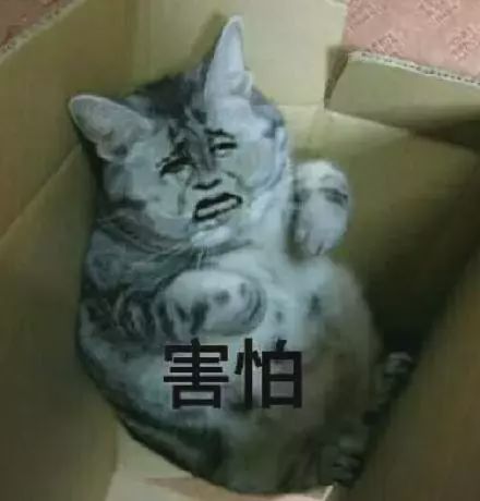 谁在神化以色列,德国制造神话