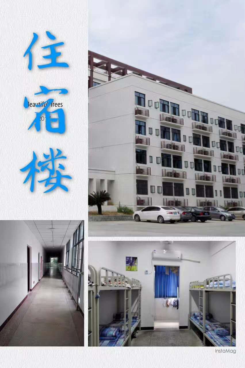 从a到z选择一个字母你会选择哪个,从a到z的成长