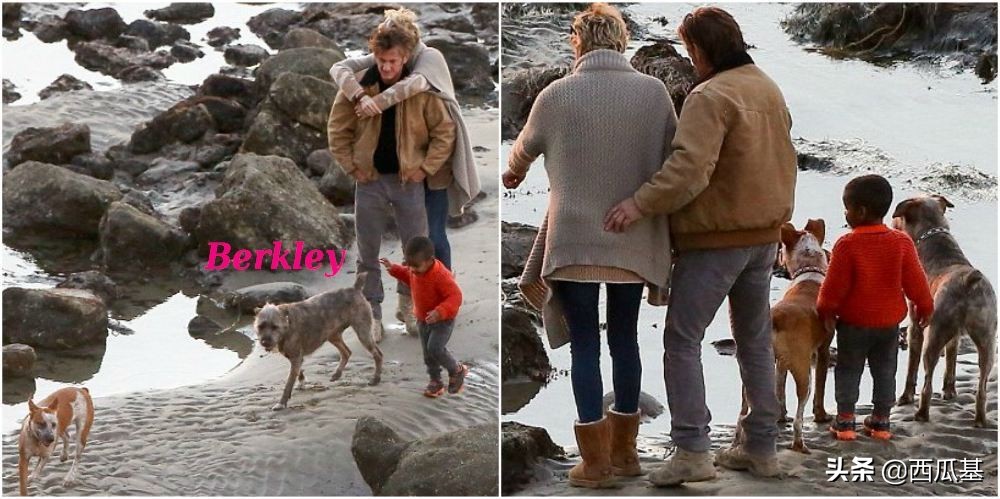 各大明星都养什么狗,公认最好养的十种狗大型犬