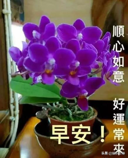 岁月不饶人机会把握好,岁月不饶人首先不饶女人的说说