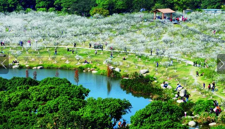 在黄埔生活方便吗,在广州黄埔生活怎么样
