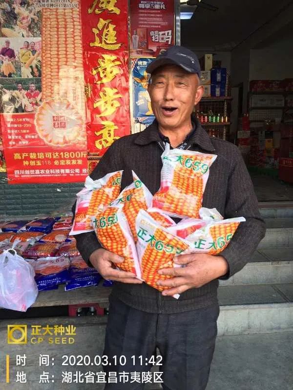 正大种业有哪几个,正大种业县级代理商