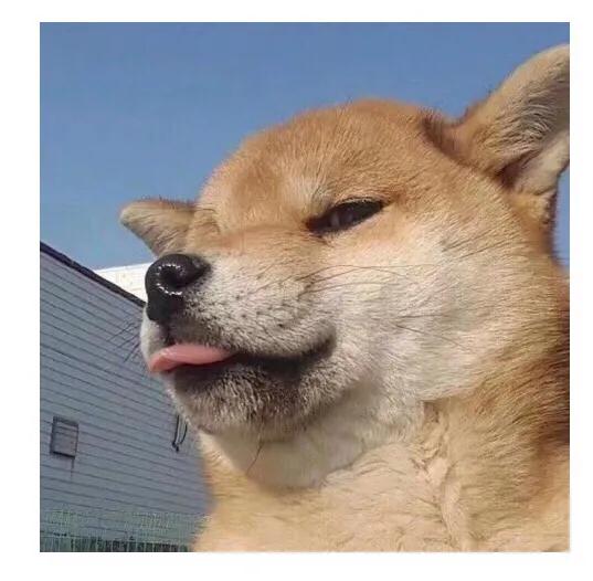 各种苹果二手手机价格,各种苹果手机通病