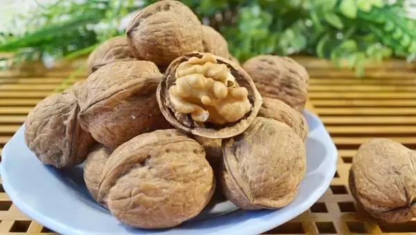 老祖宗留下100首治病口诀,老祖宗留下100种老偏方