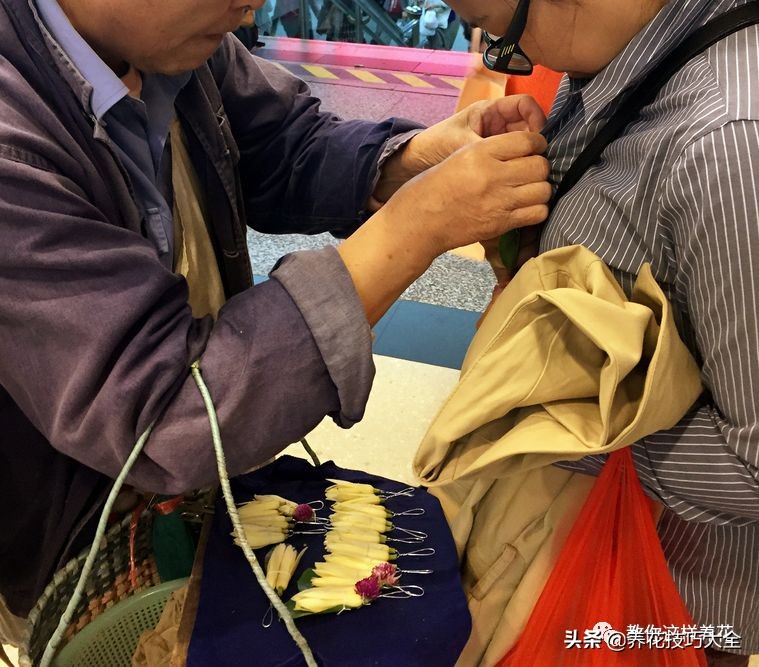 5种花特清香，家里养一盆，芬芳不断，清香四溢，异味全无