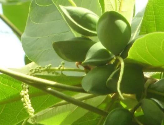 有一种丑叫内分泌失调,有一种丑叫做肤色不均的图片