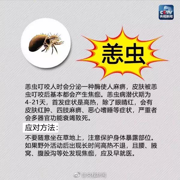 广西红火蚁咬伤事件,红火蚁入侵防城港市