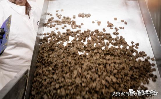 猫粮造假骗局曝光,巅峰风干猫粮真假辨别