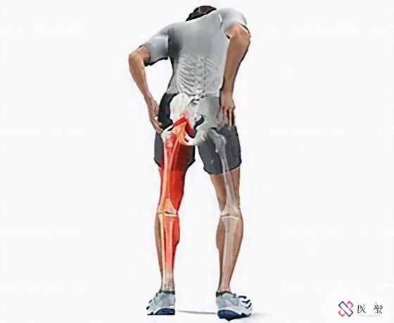 干细胞回输能治疗股骨头坏死吗,造血干细胞治疗股骨头坏死