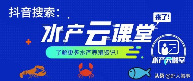 养殖小龙虾发臭怎么解决,小龙虾养殖水质浑浊什么办法变清