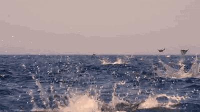 盘点2023年最潮的说唱,盘点2020中国说唱最燃5首歌