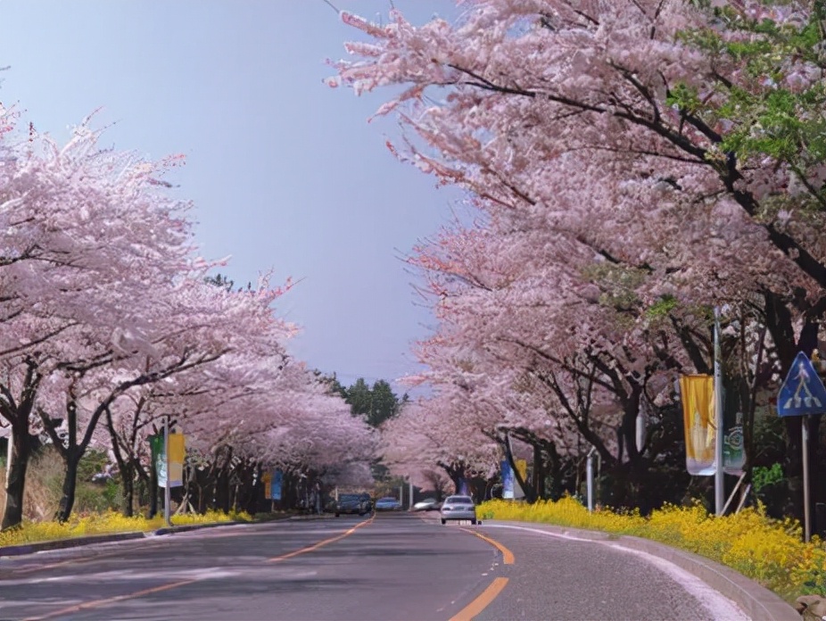 2021韩国商务签证如何办理,韩国商务签证