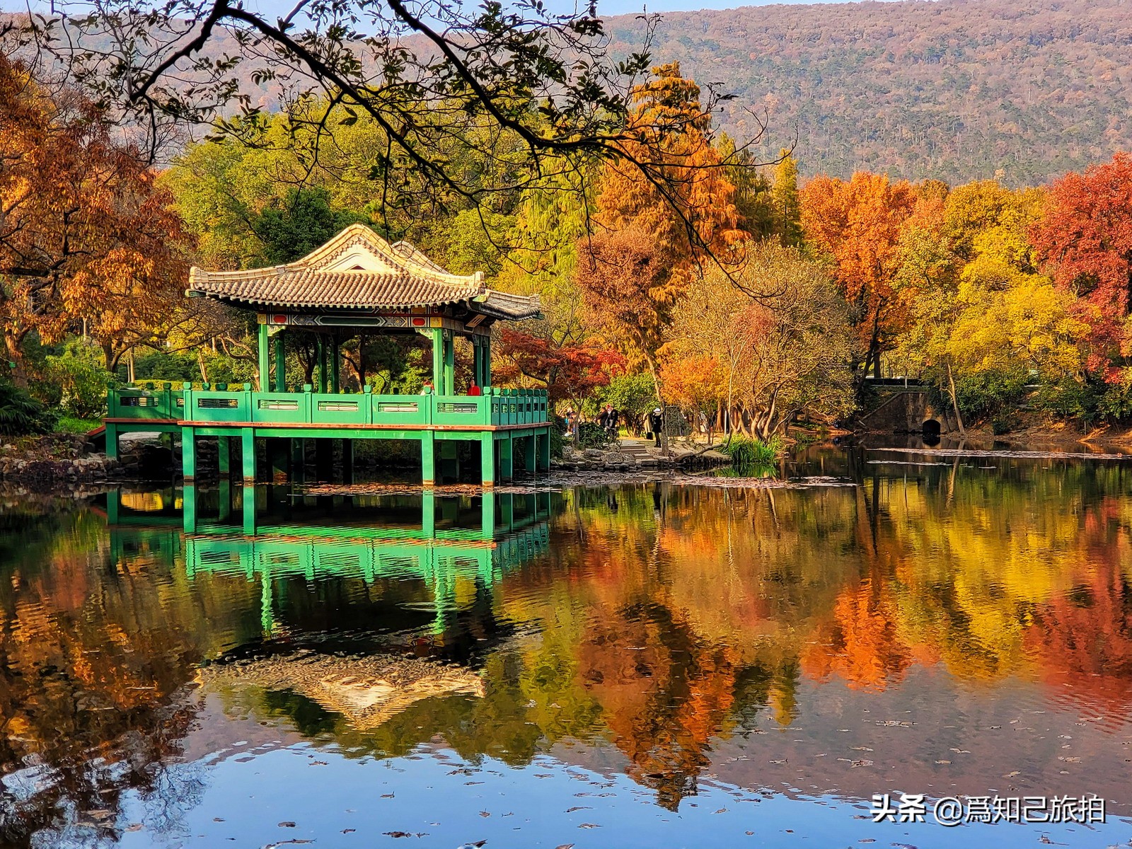 美在金陵文艺大咖秀,美在金陵梁梅